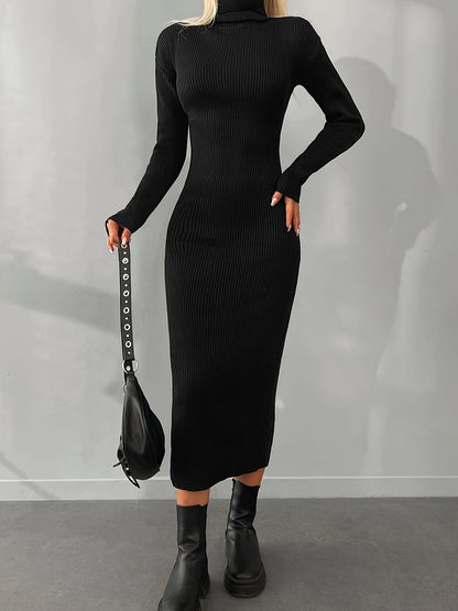 Dariana | Ribbed Turtleneck Dress