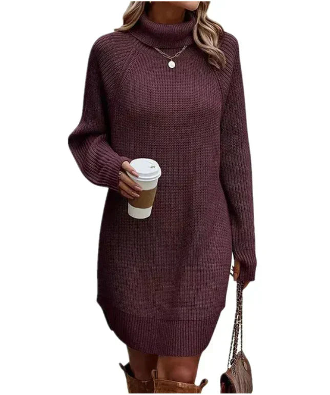 Comfortabele Gebreide Dames Sweater Jurk Met Col